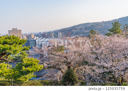 （石川県）桜が咲いた兼六園から見る金沢の街 125035759