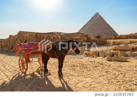 Horse-drawn carriage waits near the Great Pyramid of Giza under a bright sun at midday 125035763