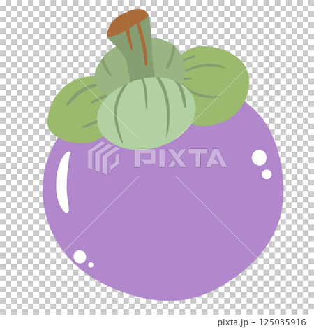 A mangosteen hand drawn clean colorful illustration perfect for summer fruit designs, market, dessert gifts, greeting cards, print, textile A mangosteen hand drawn clean colorful illustration perfect for summer fruit designs, market, dessert gifts, greeting cards, print, textile 125035916