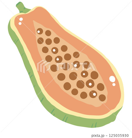 A papaya hand drawn clean colorful illustration   perfect for summer fruit designs, market, dessert gifts, greeting cards, print, textile 125035930