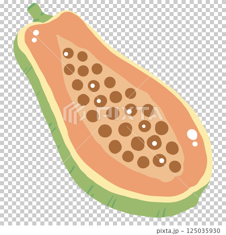 A papaya hand drawn clean colorful illustration   perfect for summer fruit designs, market, dessert gifts, greeting cards, print, textile 125035930