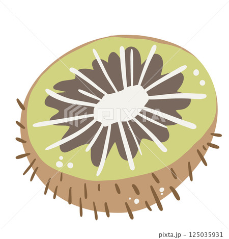 A kiwi hand drawn clean colorful illustration   perfect for summer fruit designs, market, dessert gifts, greeting cards, print, textile 125035931