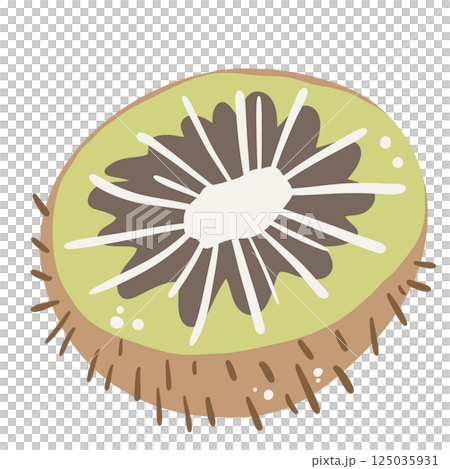 A kiwi hand drawn clean colorful illustration   perfect for summer fruit designs, market, dessert gifts, greeting cards, print, textile 125035931