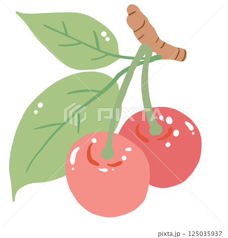 A Cherry hand drawn clean colorful illustration perfect for summer fruit designs, market, dessert gifts, greeting cards, print, textile A Cherry hand drawn clean colorful illustration perfect for summer fruit designs, market, dessert gifts, greeting cards, print, textile 125035937