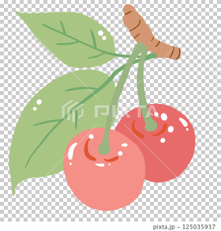 A Cherry hand drawn clean colorful illustration perfect for summer fruit designs, market, dessert gifts, greeting cards, print, textile A Cherry hand drawn clean colorful illustration perfect for summer fruit designs, market, dessert gifts, greeting cards, print, textile 125035937