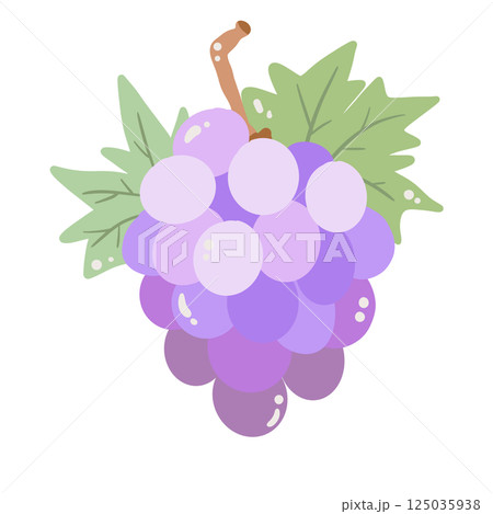 Grapes hand drawn clean colorful illustration perfect for summer fruit designs, market, dessert gifts, greeting cards, print, textile Grapes hand drawn clean colorful illustration perfect for summer fruit designs, market, dessert gifts, greeting cards, print, textile 125035938