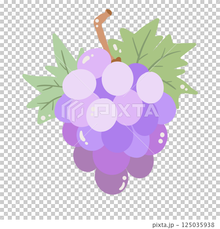 Grapes hand drawn clean colorful illustration perfect for summer fruit designs, market, dessert gifts, greeting cards, print, textile Grapes hand drawn clean colorful illustration perfect for summer fruit designs, market, dessert gifts, greeting cards, print, textile 125035938