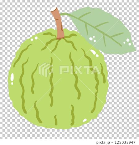 A guava hand drawn clean colorful illustration   perfect for summer fruit designs, market, dessert gifts, greeting cards, print, textile 125035947