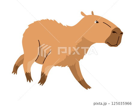 Capybara. Cartoon cute animal, wild herbivore mammal resting. Funny adorable exotic animal relaxing. Cartoon flat vector illustration Capybara. Cartoon cute animal, wild herbivore mammal resting. Funny adorable exotic animal relaxing. Cartoon flat vector illustration 125035966