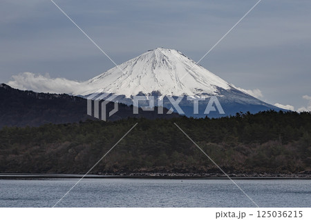 西湖から望む富士 125036215