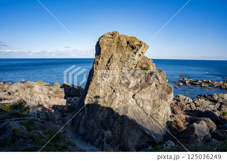 室戸岬エボシ岩の風景 125036249