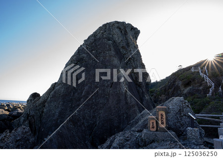 室戸岬エボシ岩の風景 室戸岬エボシ岩の風景 125036250