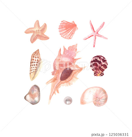 Set of Watercolor Shells and Starfish 125036331