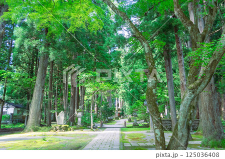 雄山神社 中宮祈願殿 緑に包まれた神聖な参道 雄山神社 中宮祈願殿 緑に包まれた神聖な参道 125036408