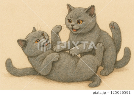 ブリティッシュショートヘア 125036591