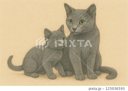 ロシアンブルー 125036593