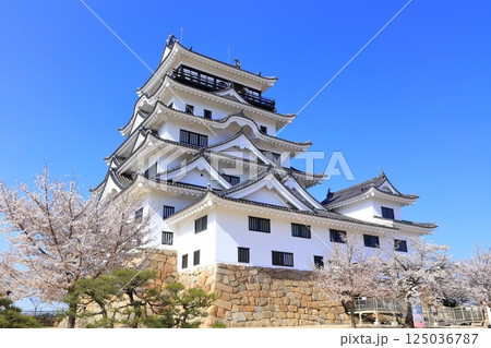 【広島県】桜咲く春の福山城天守(復興後) 【広島県】桜咲く春の福山城天守(復興後) 125036787