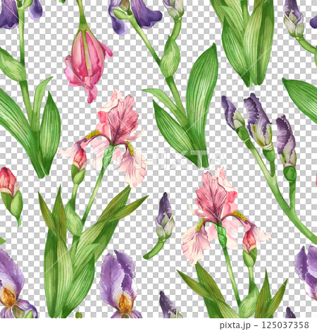 Pink and purple irises, flower buds, leaves, all objects are hand-drawn with watercolors. Watercolor seamless pattern. Suitable for printing on fabric, paper, home textiles. Pink and purple irises, flower buds, leaves, all objects are hand-drawn with watercolors. Watercolor seamless pattern. Suitable for printing on fabric, paper, home textiles. 125037358