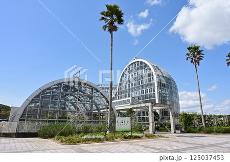 のんほいパーク(豊橋総合動植物公園)の温室と晴天の空 のんほいパーク(豊橋総合動植物公園)の温室と晴天の空 125037453