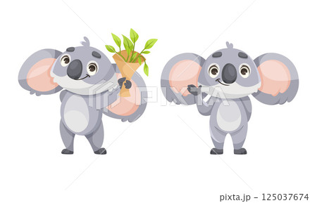 Cheerful Koala Animal with Large Ears and Pretty Snout Vector Set 125037674