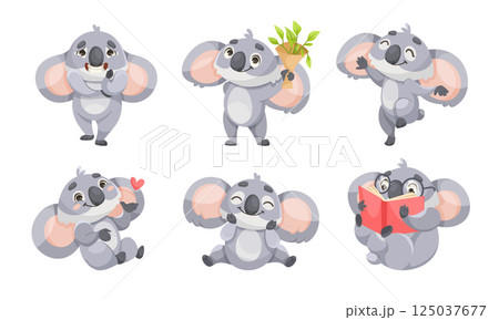 Cheerful Koala Animal with Large Ears and Pretty Snout Vector Set Cheerful Koala Animal with Large Ears and Pretty Snout Vector Set 125037677