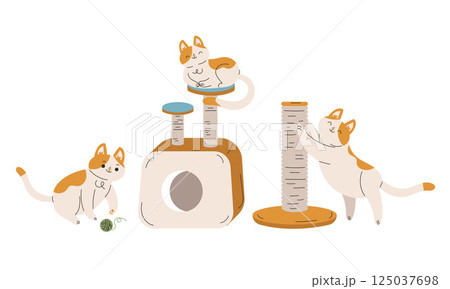 Funny Cat Domestic Pet with Pretty Snout Engaged in Different Activity Vector Set Funny Cat Domestic Pet with Pretty Snout Engaged in Different Activity Vector Set 125037698