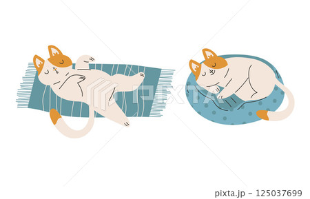 Funny Cat Domestic Pet with Pretty Snout Engaged in Different Activity Vector Set 125037699