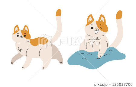 Funny Cat Domestic Pet with Pretty Snout Engaged in Different Activity Vector Set 125037700