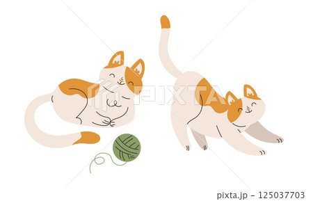 Funny Cat Domestic Pet with Pretty Snout Engaged in Different Activity Vector Set 125037703