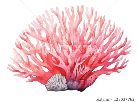 カラフルな珊瑚の水彩ベクターイラスト　生成AI 125037762