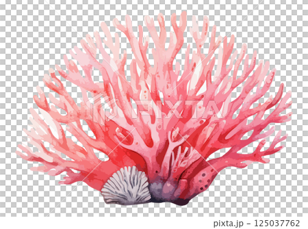 カラフルな珊瑚の水彩ベクターイラスト　生成AI 125037762