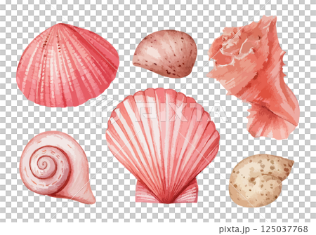 海辺の綺麗な貝殻の水彩風イラスト　生成AI 125037768
