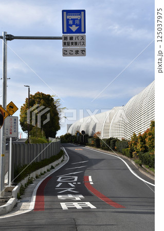 バス専用区分道路_08 バス専用区分道路_08 125037975