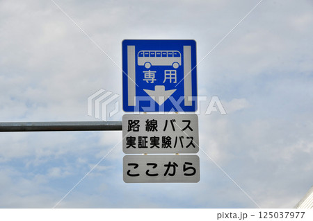 バス専用区分道路の標識 バス専用区分道路の標識 125037977