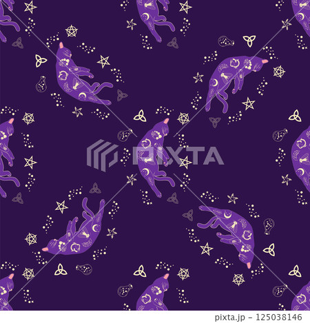 Mystical seamless pattern of cats in boho style, silhouette collection. Witchcraft and magic 125038146