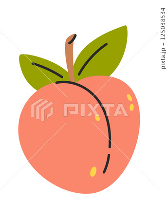 Sweet peach fruit hand drawn 125038534