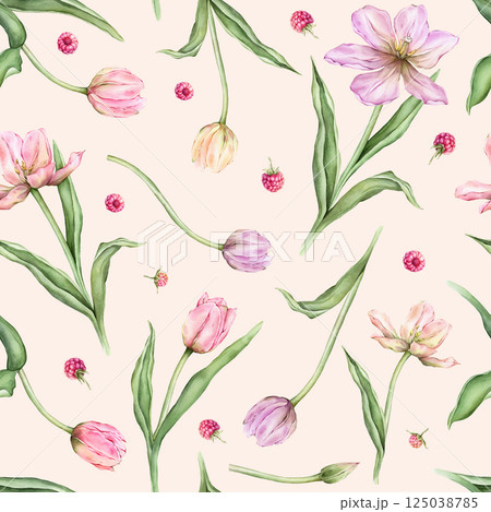 Seamless pattern of pastel pink light violet yellow bud Tulips and Raspberries watercolor illustration isolated on background. Hand drawn delicate spring flower for spring wedding repeat design 125038785