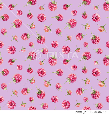 Watercolor seamless pattern with Raspberries and blackberries. Hand drawing illustration red berries. Graphic design element isolated on white background. 125038786