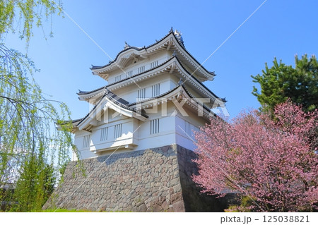 埼玉県 忍城 ~満開の桜に彩られる天守~ 埼玉県 忍城 ~満開の桜に彩られる天守~ 125038821