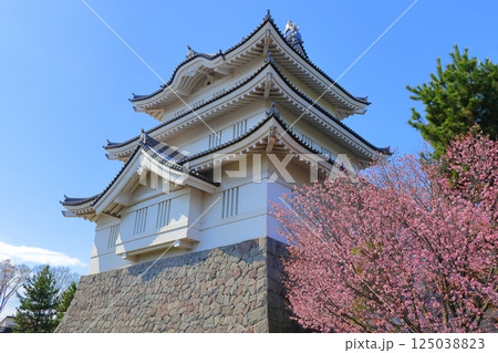 埼玉県 忍城　～満開の桜に彩られる天守～ 125038823