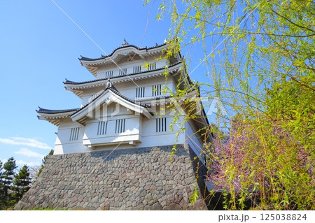 埼玉県 忍城 ~満開の桜に彩られる天守~ 埼玉県 忍城 ~満開の桜に彩られる天守~ 125038824