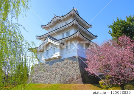 埼玉県 忍城 ~満開の桜に彩られる天守~ 埼玉県 忍城 ~満開の桜に彩られる天守~ 125038829
