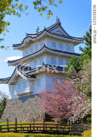 埼玉県 忍城 ~満開の桜に彩られる天守~ 埼玉県 忍城 ~満開の桜に彩られる天守~ 125038836