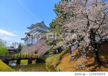埼玉県 忍城 ~満開の桜に彩られる天守~ 埼玉県 忍城 ~満開の桜に彩られる天守~ 125038839