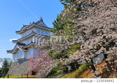 埼玉県 忍城　～満開の桜に彩られる天守～ 125038841