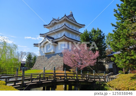 埼玉県 忍城 ~満開の桜に彩られる天守~ 埼玉県 忍城 ~満開の桜に彩られる天守~ 125038846