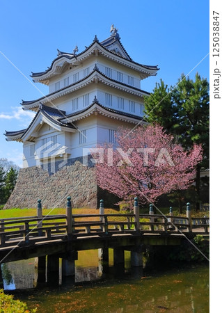 埼玉県 忍城　～満開の桜に彩られる天守～ 125038847