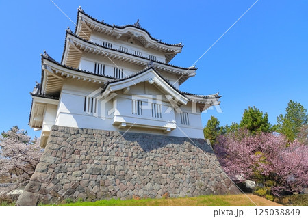 埼玉県 忍城 ~満開の桜に彩られる天守~ 埼玉県 忍城 ~満開の桜に彩られる天守~ 125038849