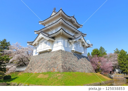 埼玉県 忍城　～満開の桜に彩られる天守～ 125038853