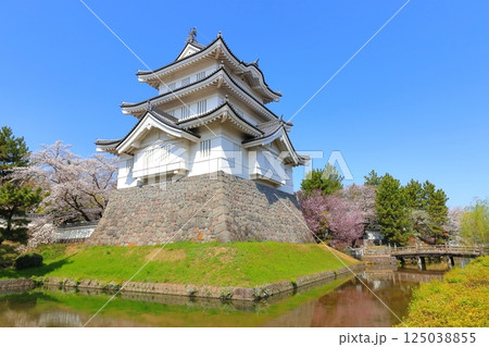 埼玉県 忍城 ~満開の桜に彩られる天守~ 埼玉県 忍城 ~満開の桜に彩られる天守~ 125038855